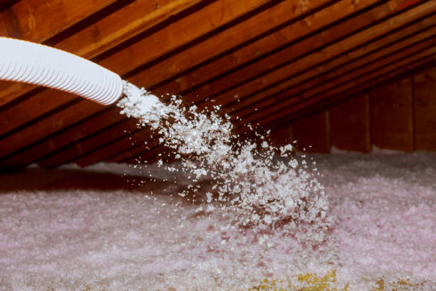 Best Attic Insulation Installation  in Homeacre Lyndora, PA