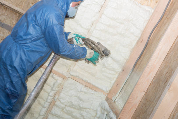 Homeacre Lyndora, PA Insulation Installation & Removal Company